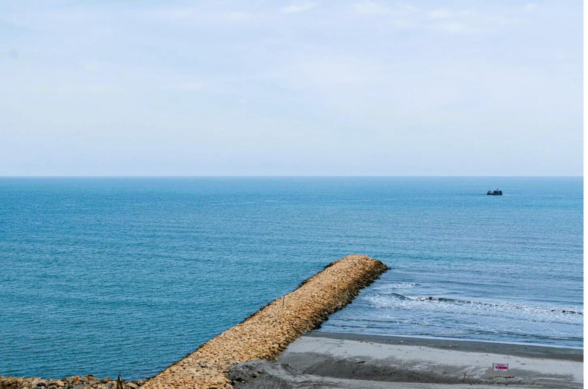 Apartamentos Palmetto - Frente Al Mar Cartagena Dış mekan fotoğraf